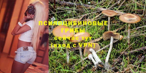 стафф Струнино