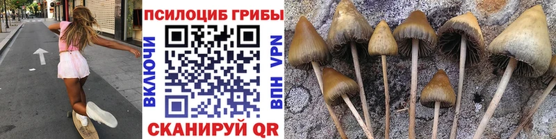 Галлюциногенные грибы Cubensis  маркетплейс телеграм  Катав-Ивановск  хочу  