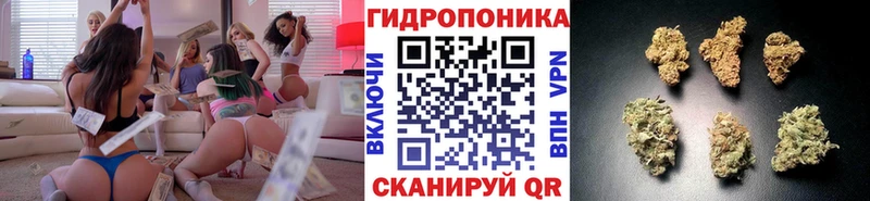 Шишки марихуана LSD WEED Катав-Ивановск